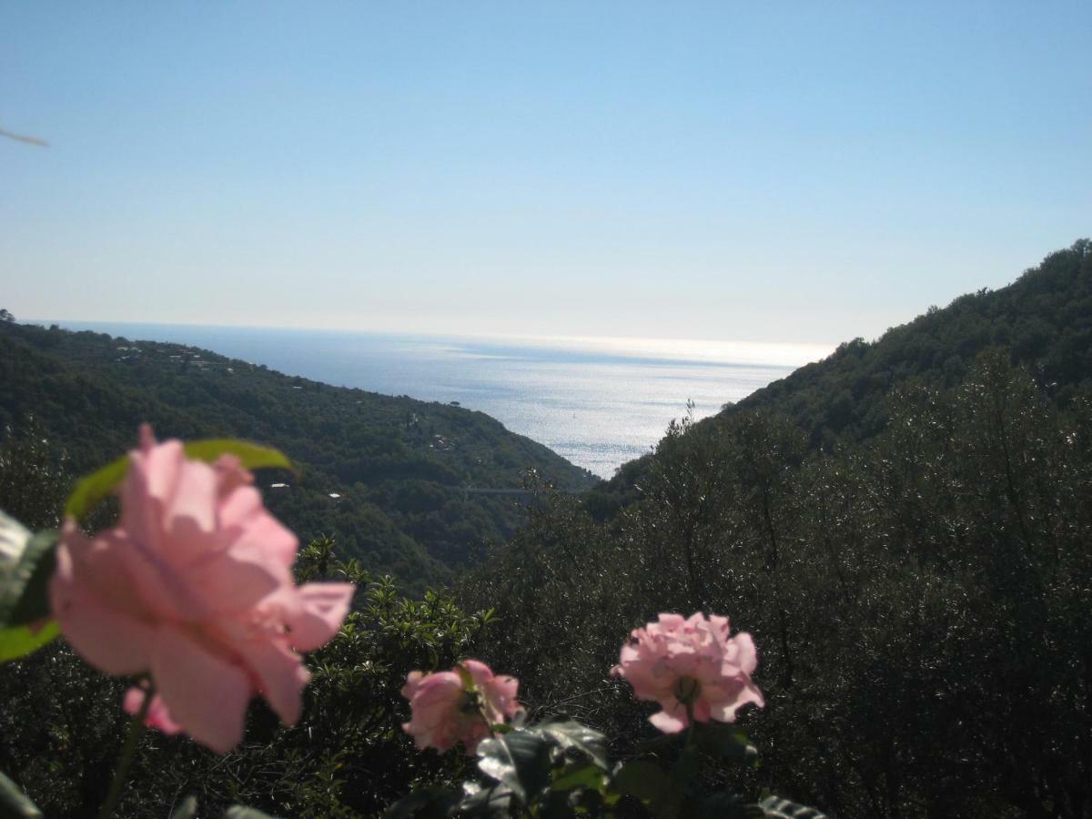Casa Canepa Villa Sori Buitenkant foto
